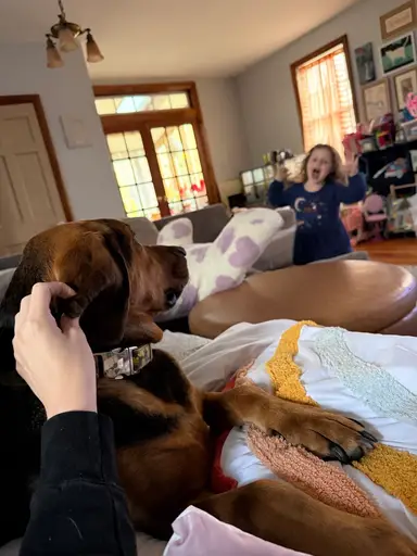 Toosday Live Sale On Niknax