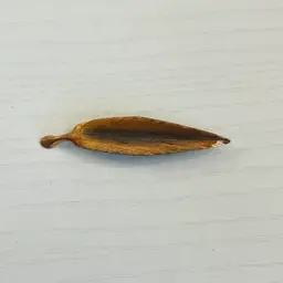 Stuart Nye Copper Willow Leaf Brooch Signed 2.5”