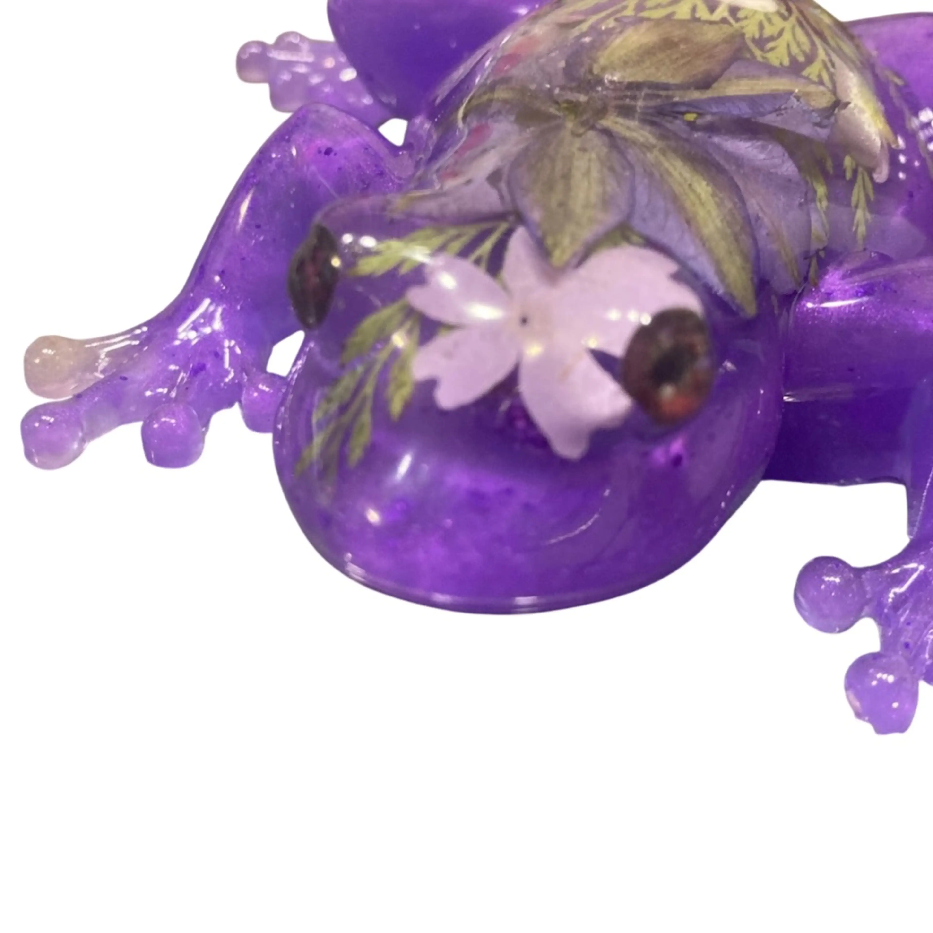 Image 5 of 5