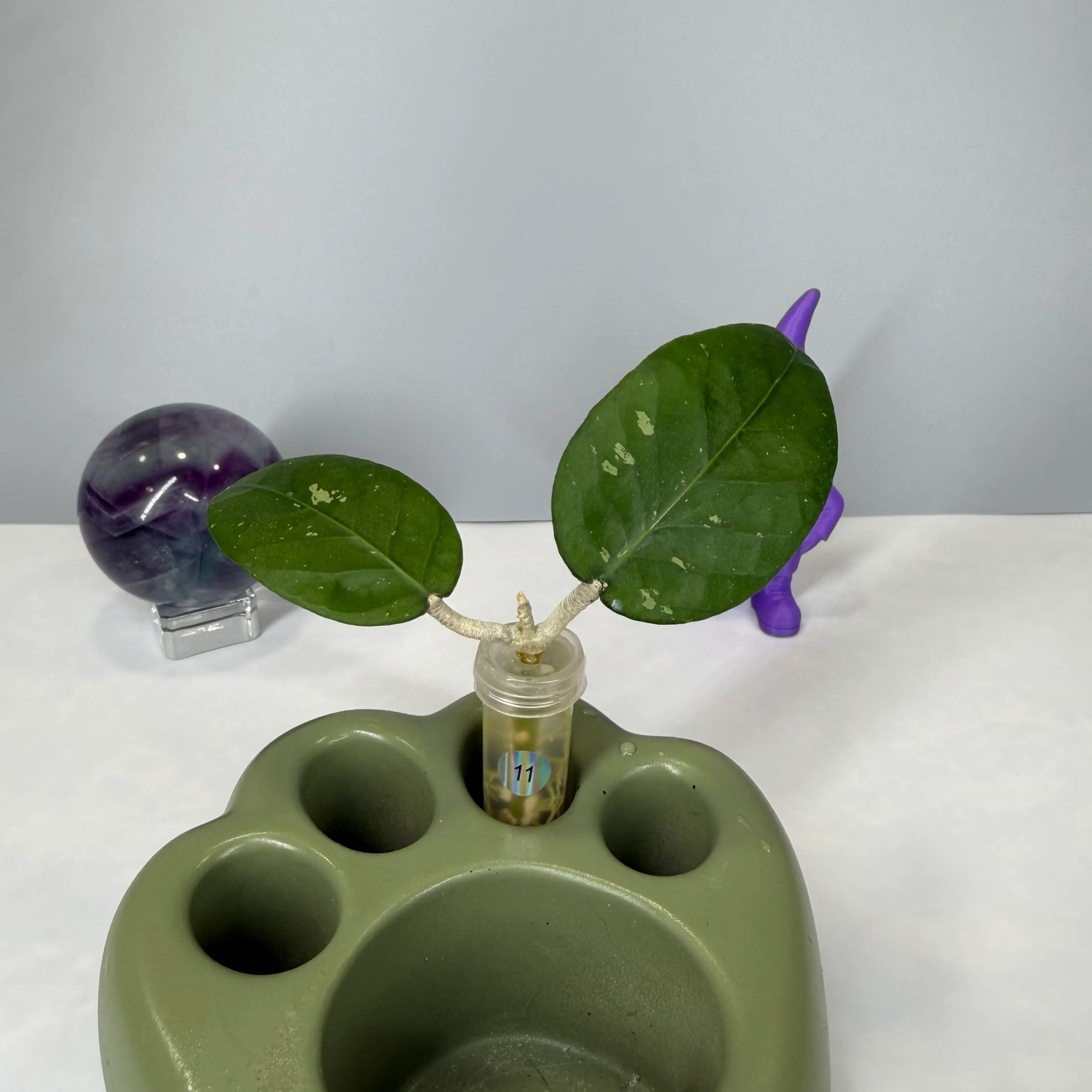 Image 1 of 3