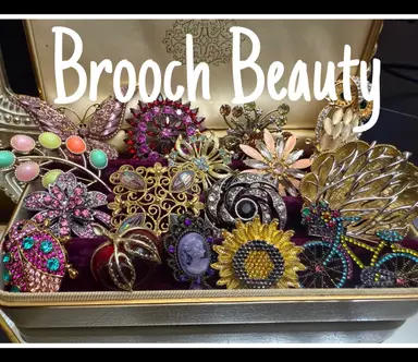 Brooch Beauties! 