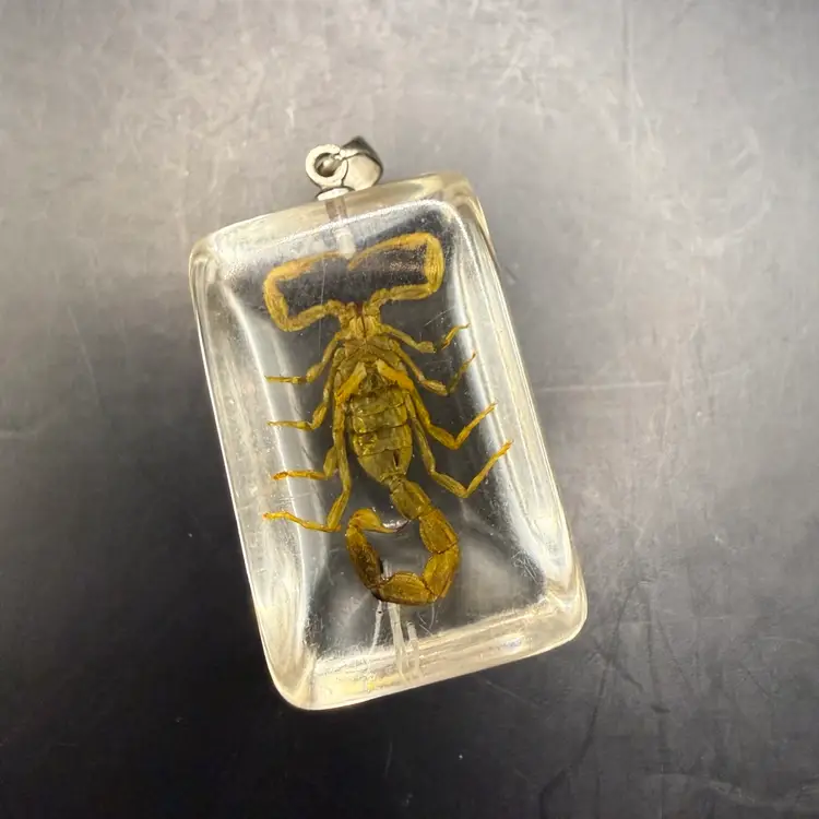 Real Golden Scorpion Cased Resin Lucite Pendant 1.5”