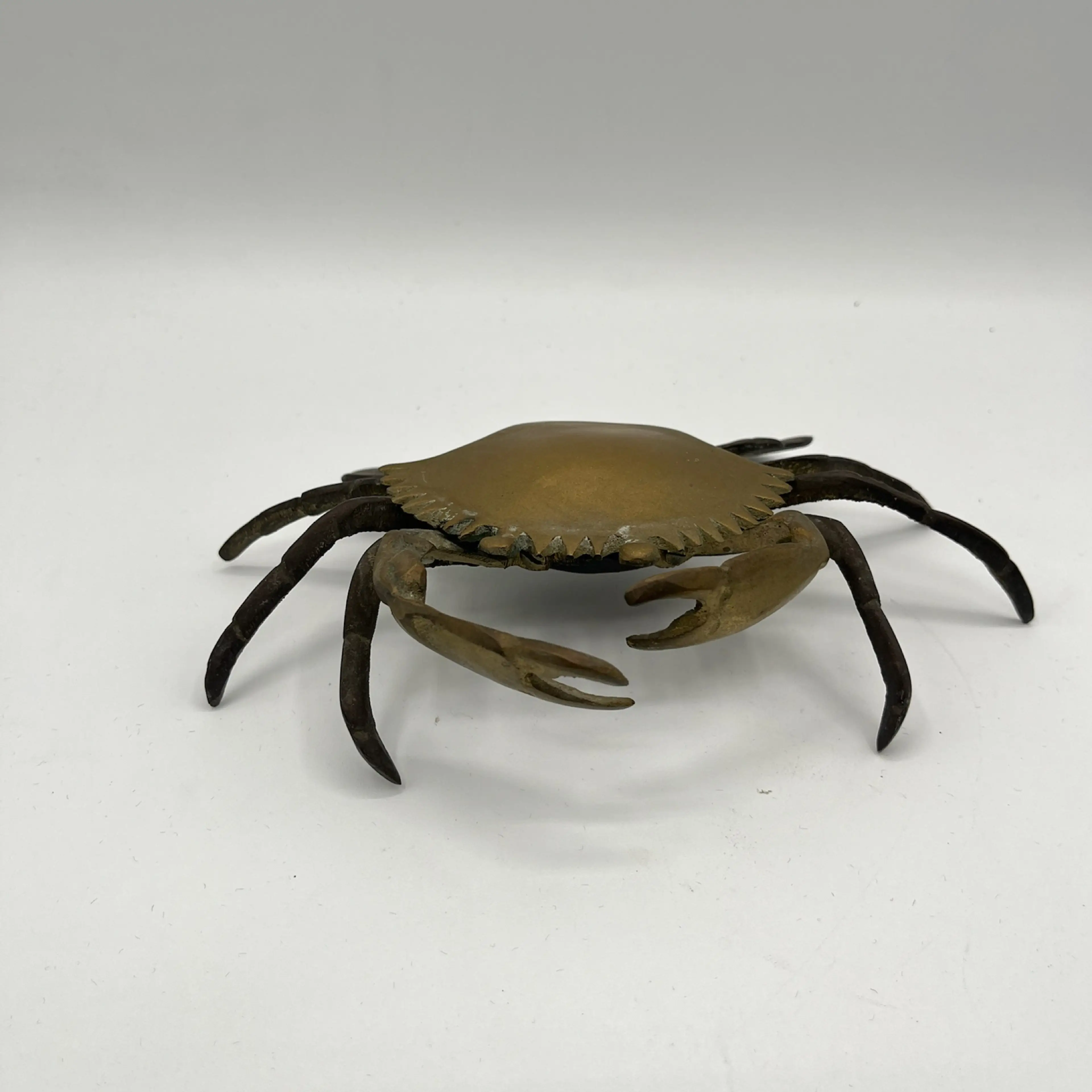 Image 3 of 11