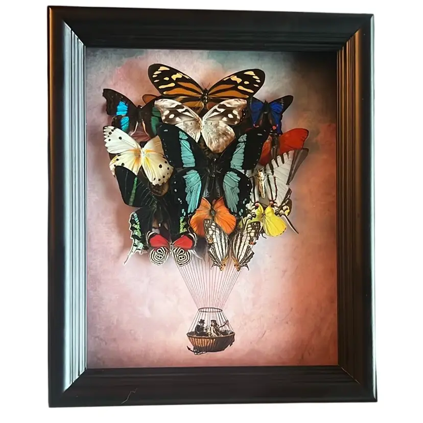 Artisan Made Real Butterfly Art 🦋 Stunning - 12”x 10”