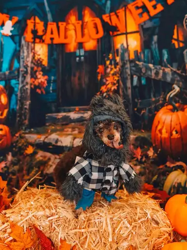 Quality Vintage Jewelry 