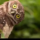 diannaniftythriftyfinds