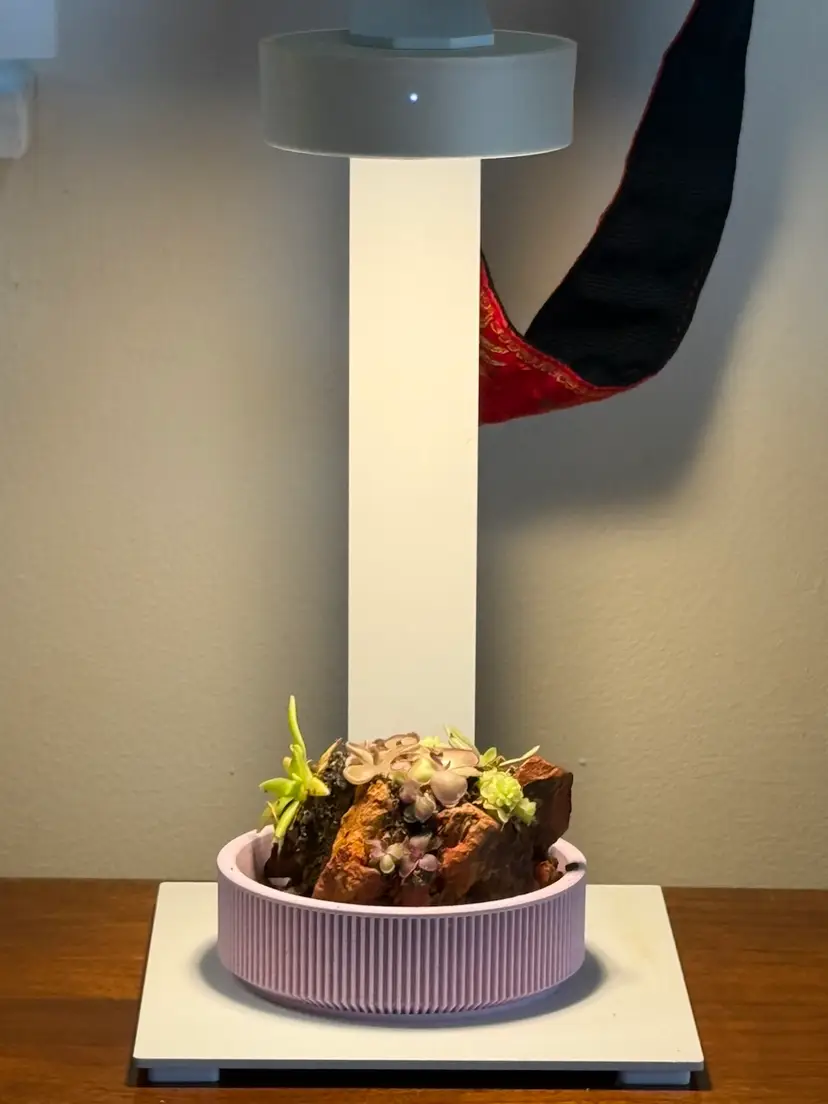 Mini Ping Rock Display Kit