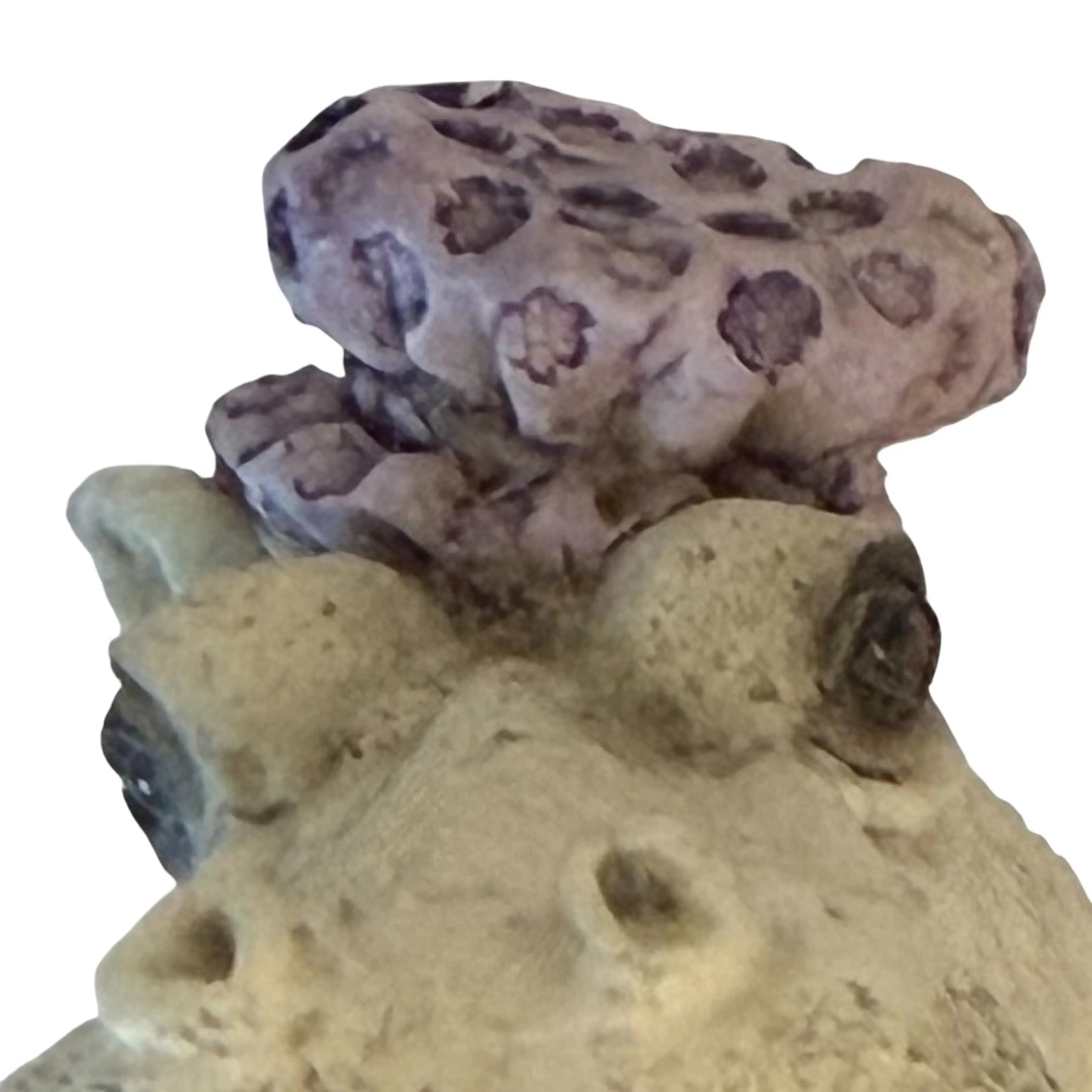 Image 2 of 12