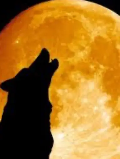 Full Moon Extravaganza 🌕🎉 Part 1 With Crystal Cowboy (Russ And Angel)