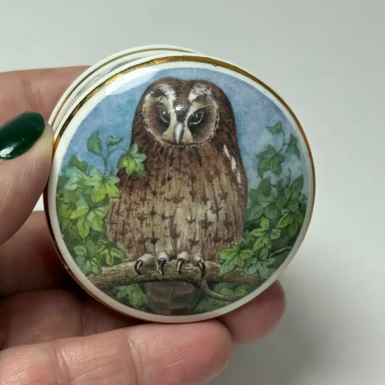 Fine Bone China Owl & Ivy Trinket Box Objets D'Art Made in England