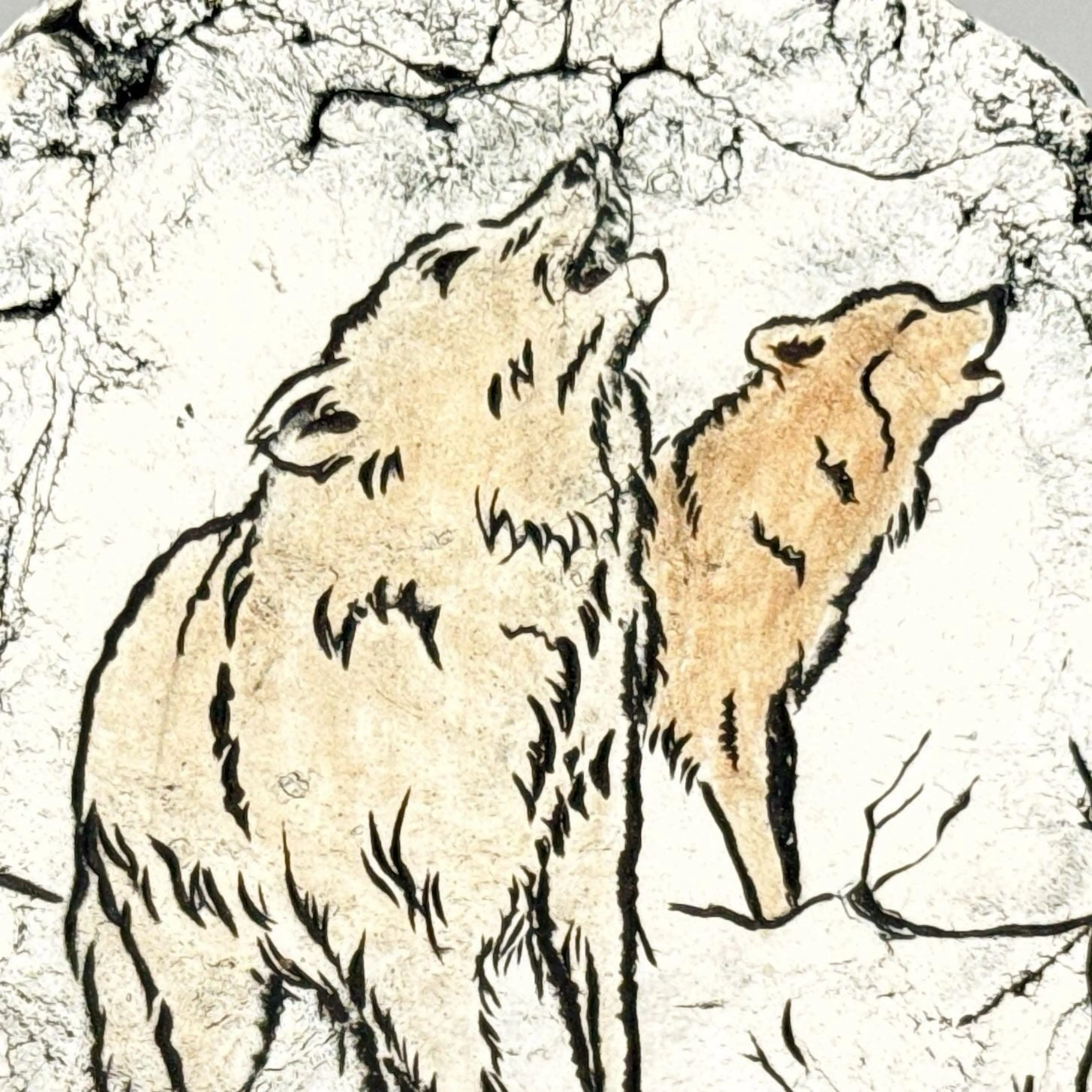 Image 2 of 12