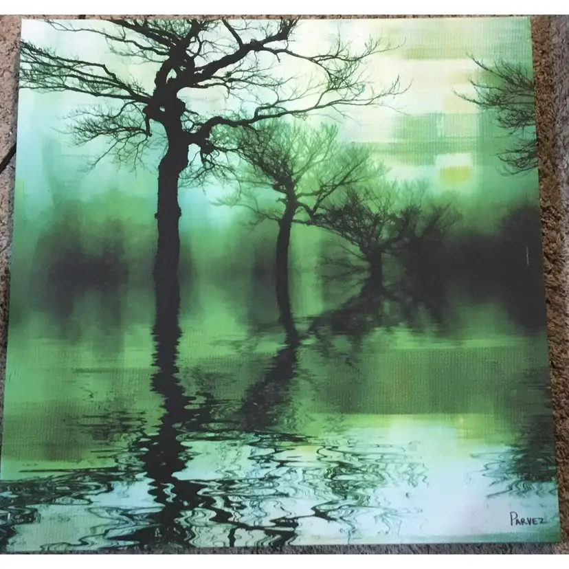 Artist Parvez Taj, Fine art print on canvas, 24" x 24", Misty Green Lake
