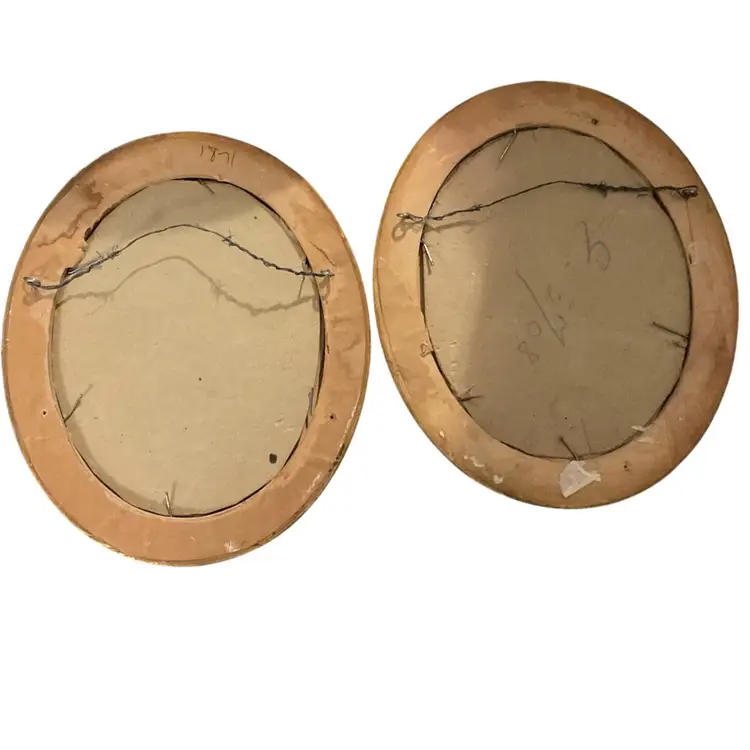 2 Vintage Real Bird Feather Art Wall Pictures 7”