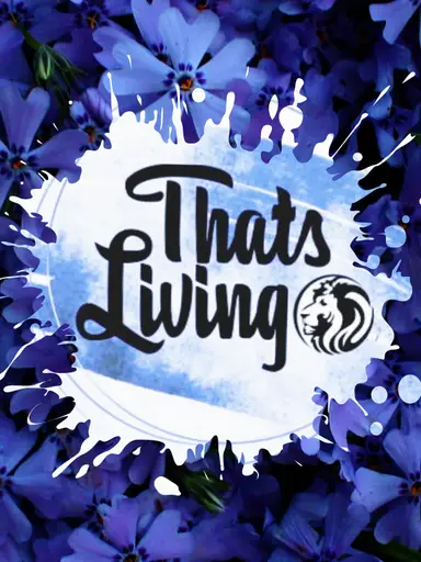 Thursday 2nd Stream After iPad Died - Come Hang With Me!