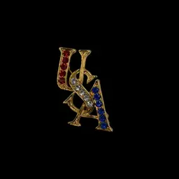 USA Multicolor Brooch