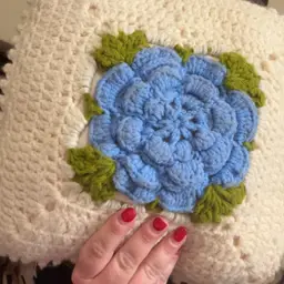 Crochet Pillow