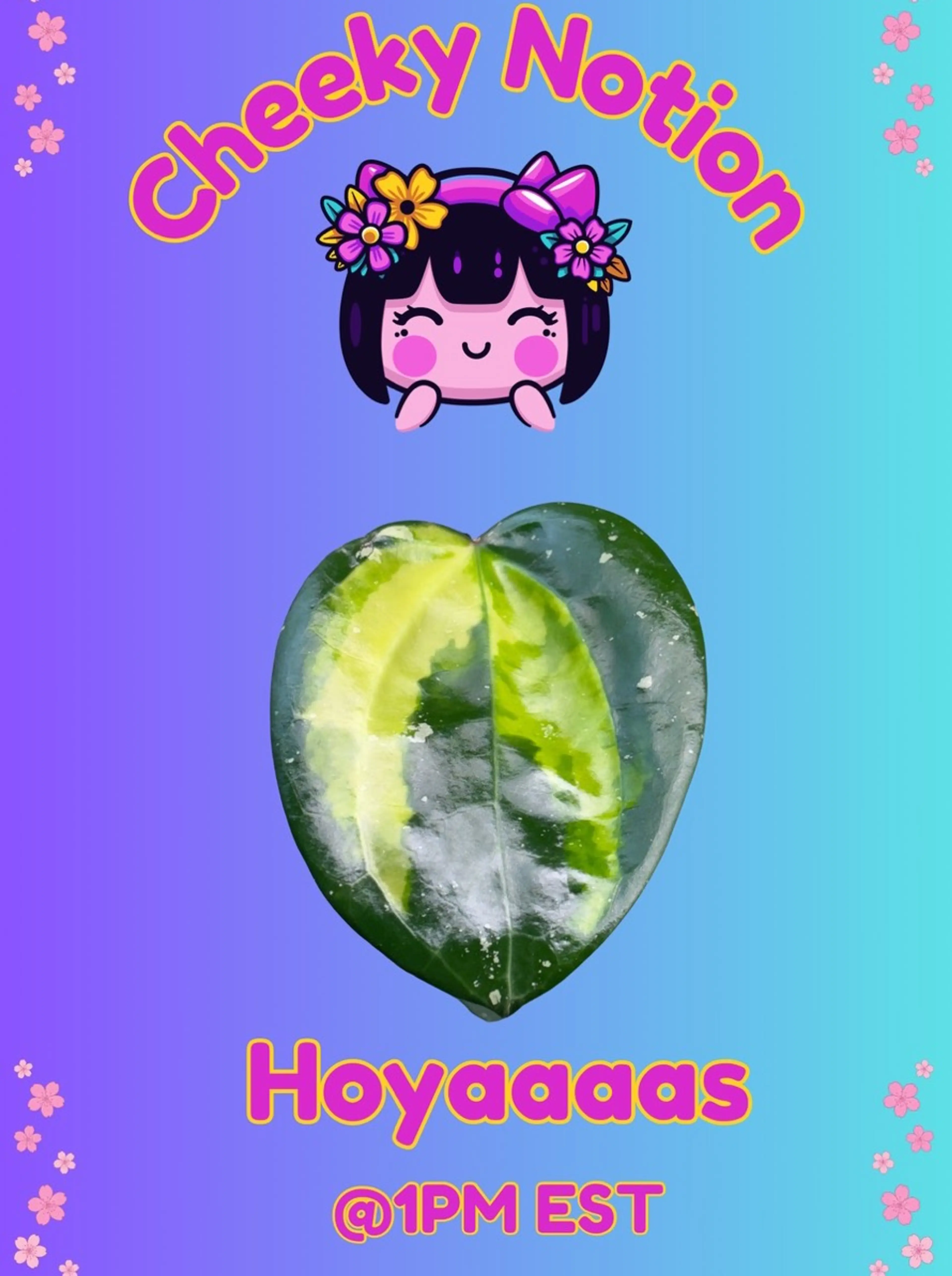 Hoyas for the Soul 💜