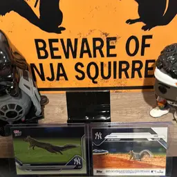 #03 - Givvvyy Givvvy !