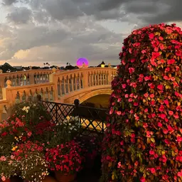 #05 - Jewelry Item As Seen In Live Show