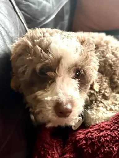 Choring Because April Is Making Me 😇