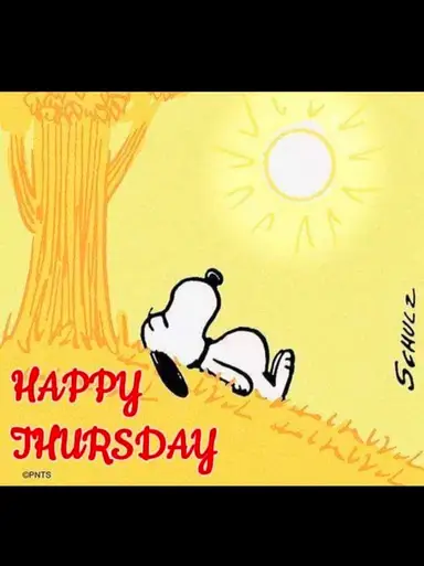 Happy Thursday!! Shop My Shelves & Live Auction Items