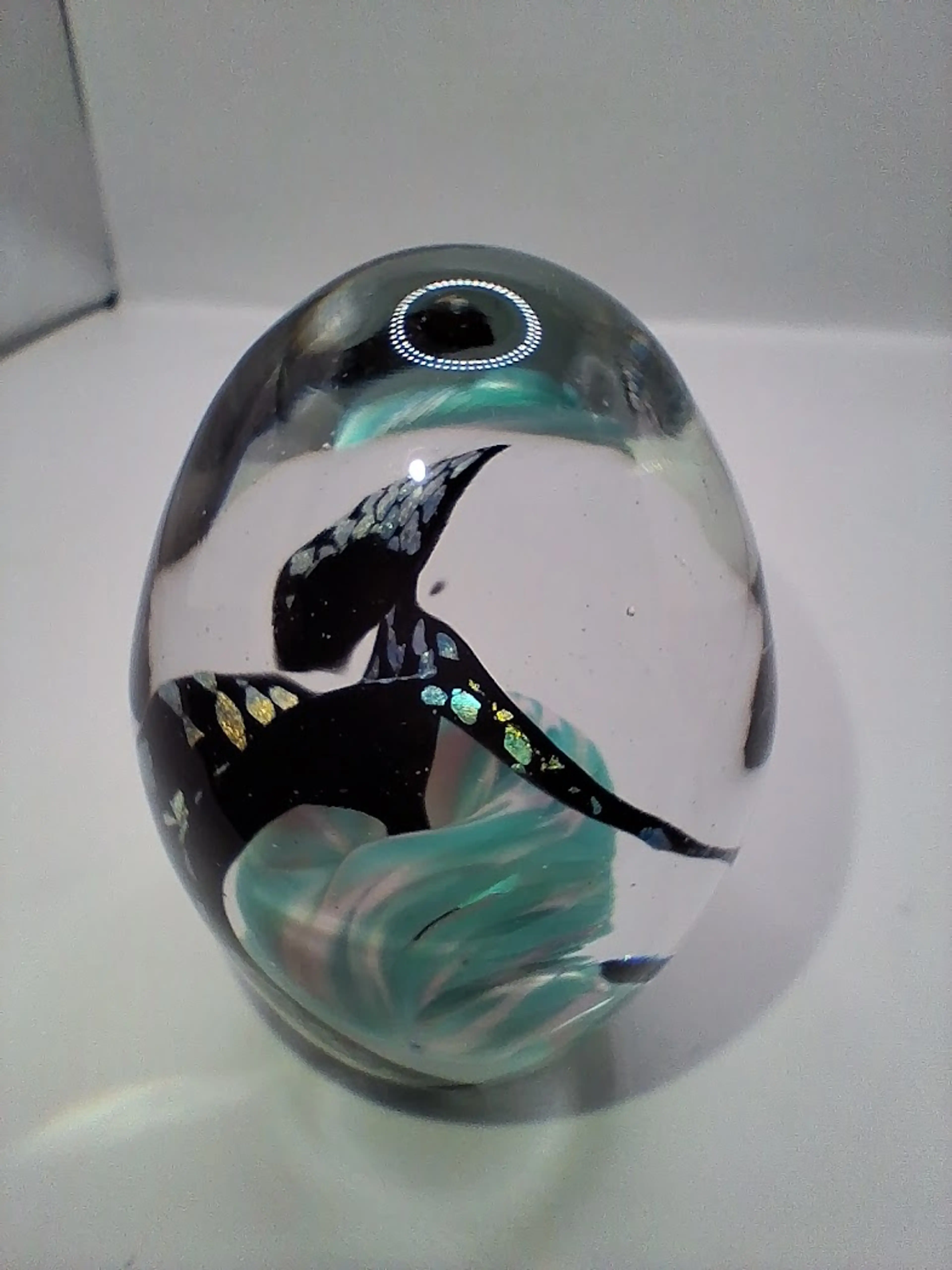 Image 4 of 7