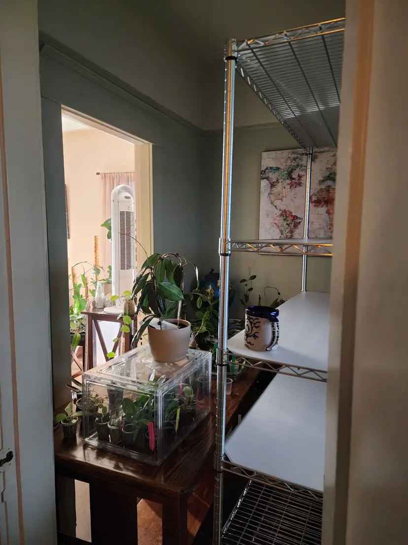 Livestream thumbnail