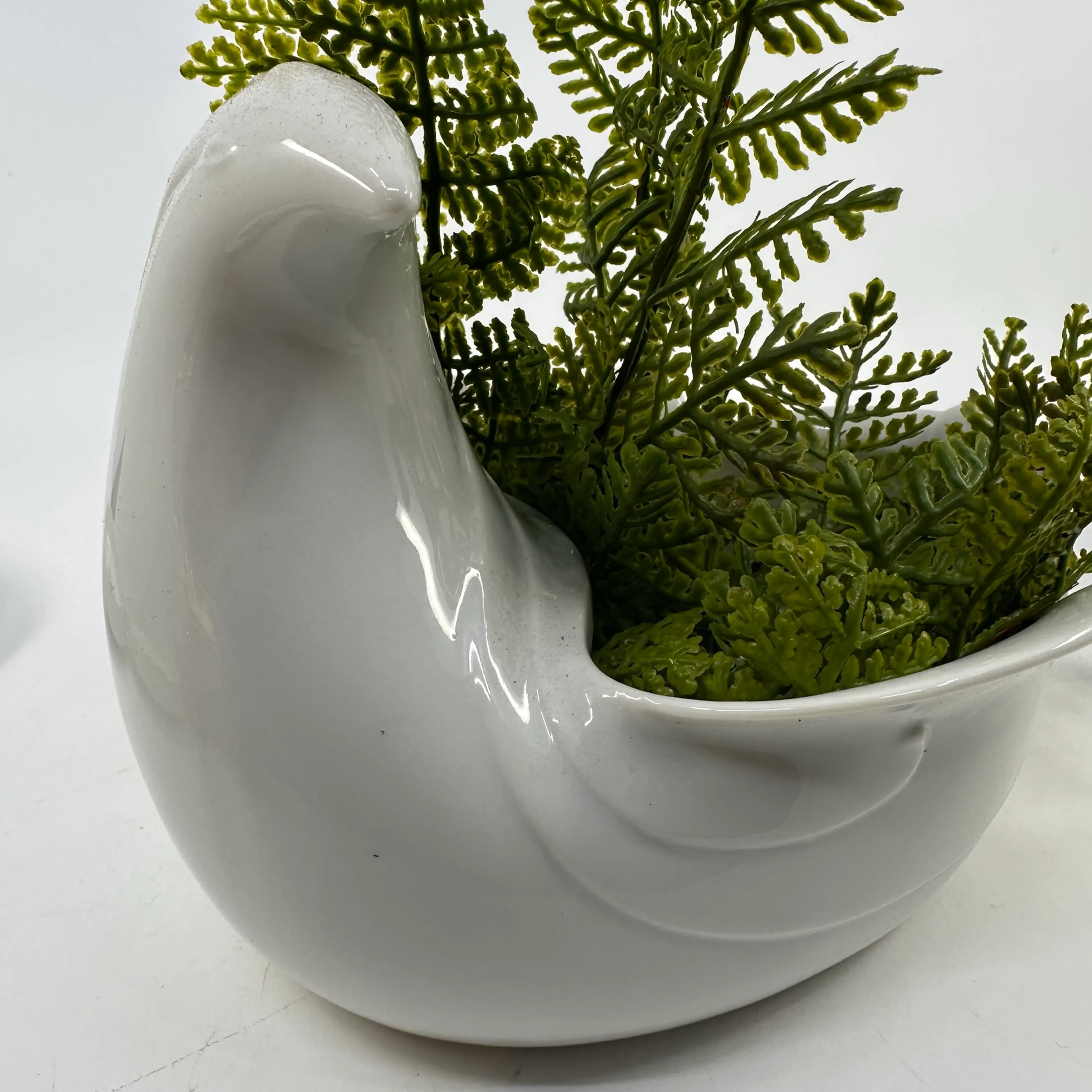 Image 2 of 3