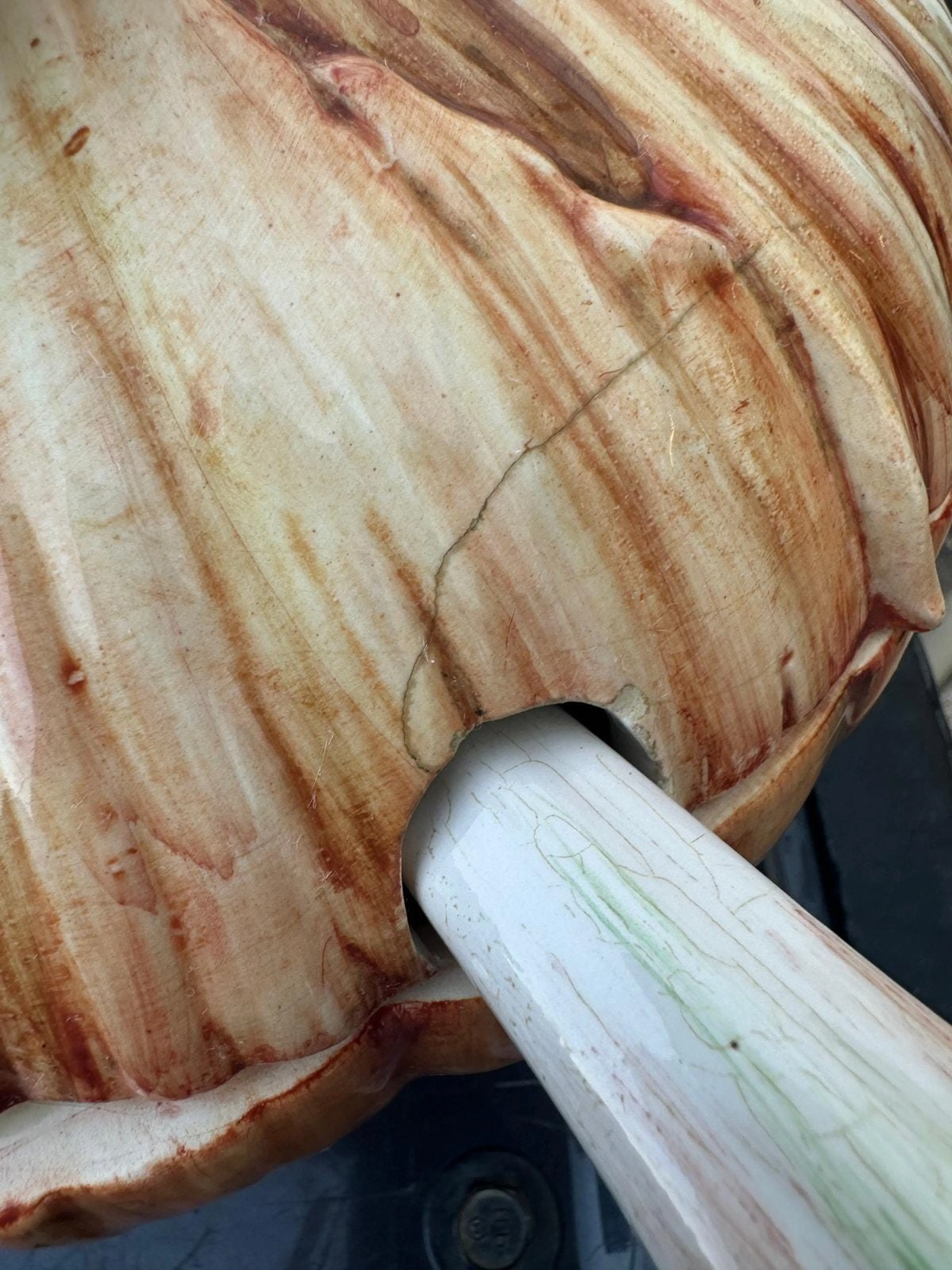 Image 5 of 10