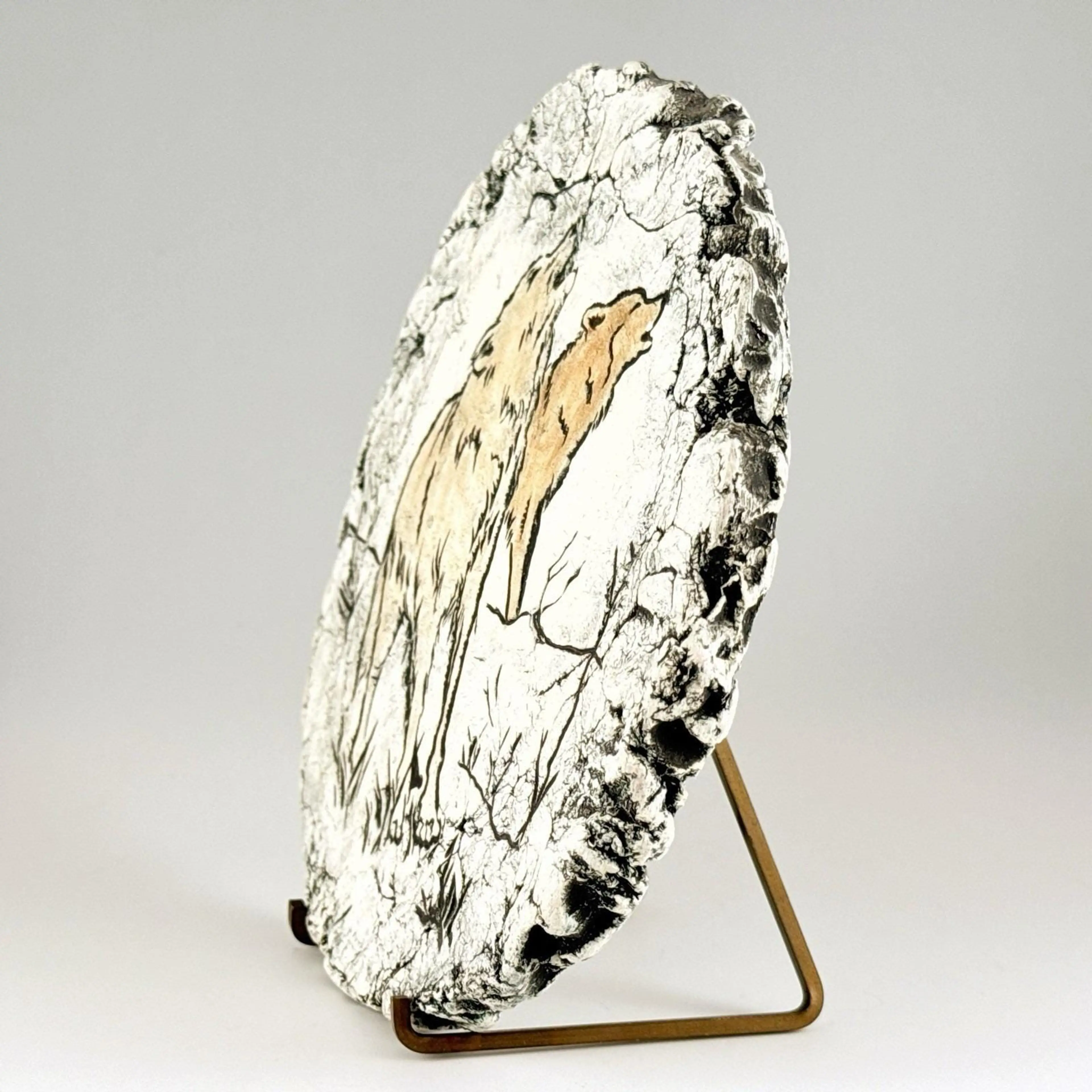 Image 4 of 12