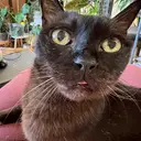 interactthischristina