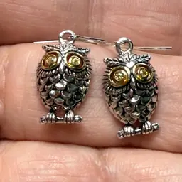 The Cutest Two Tone Gold & Silver Dangle Owl Earrings Rhinestone Eyes