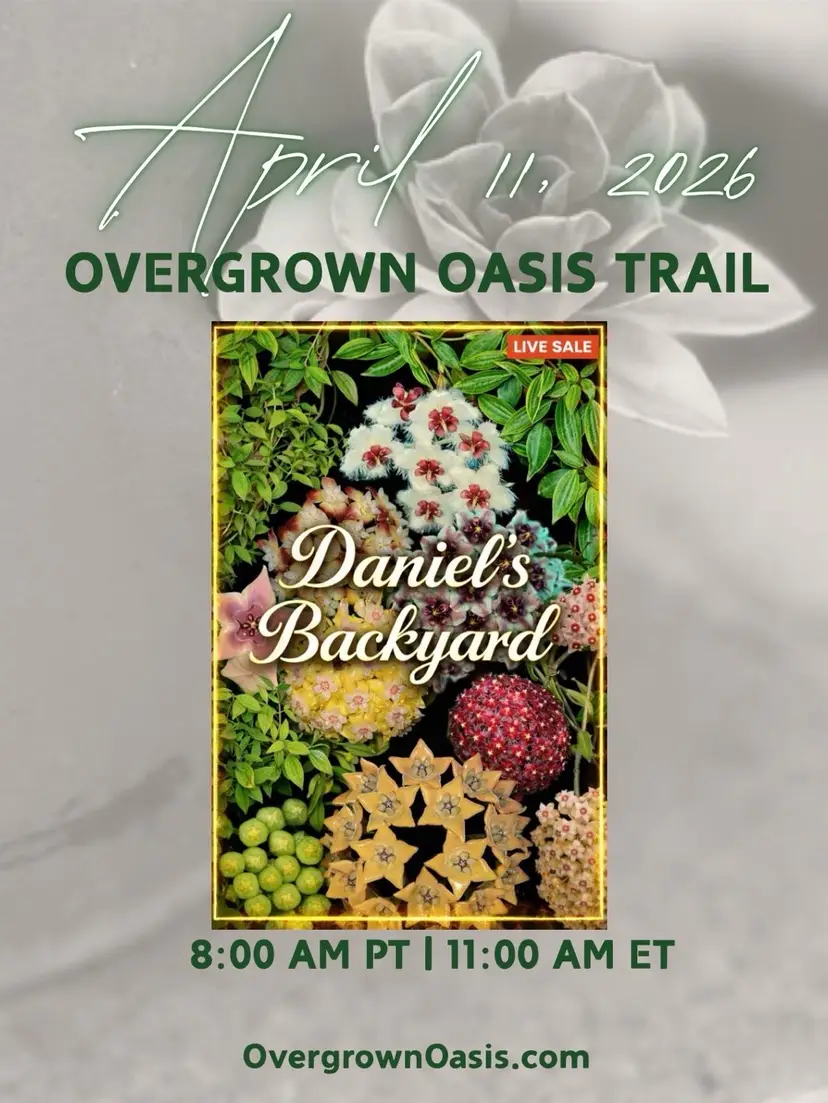 Livestream thumbnail