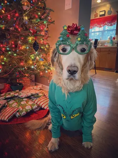  Christmas Eve Eve Variety Sale with Thrifty Tiffani