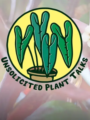 Spend Time With Me This Thanksgiving!