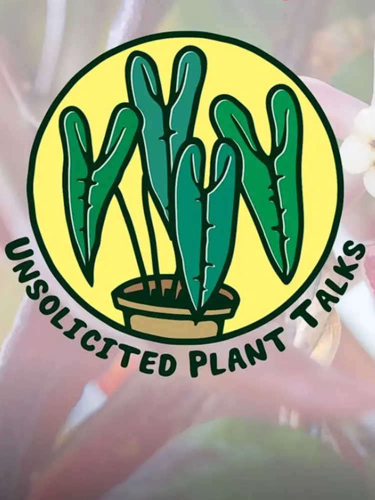 Spend Time With Me This Thanksgiving!