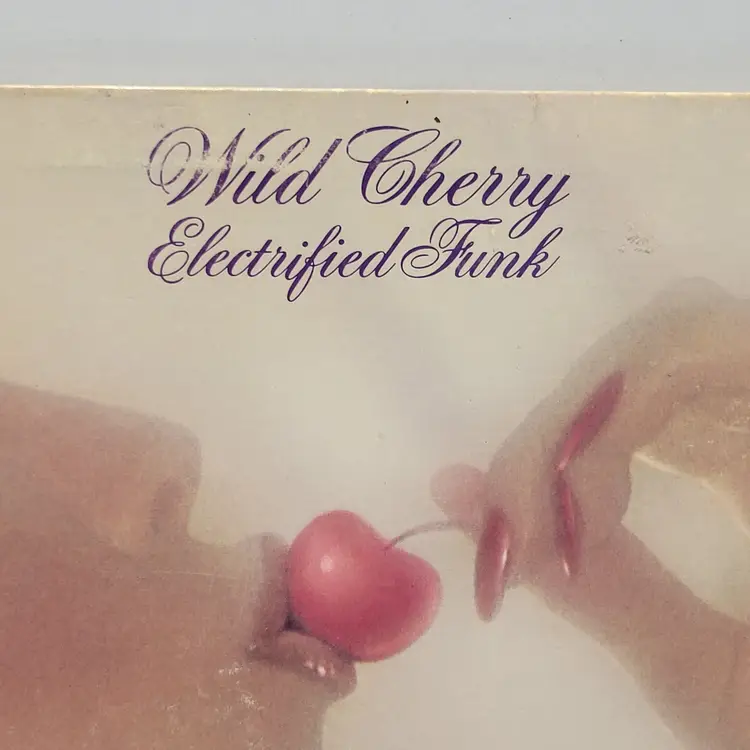 Wild Cherry - Electrified Funk (1977, 12" Vinyl LP, Epic) Untested Wall Art
