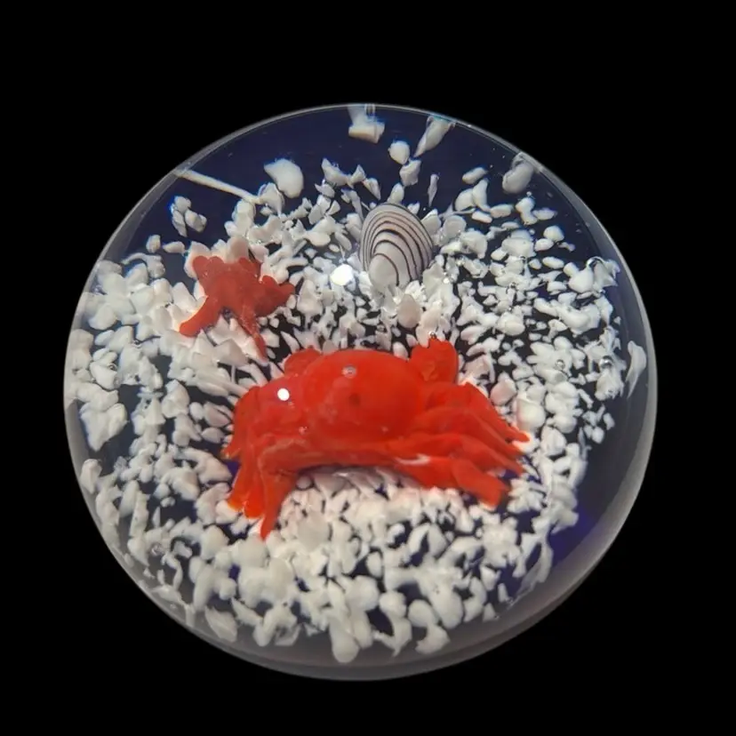 Crab And Seashells On A Dark Blue Filed Paper Weight