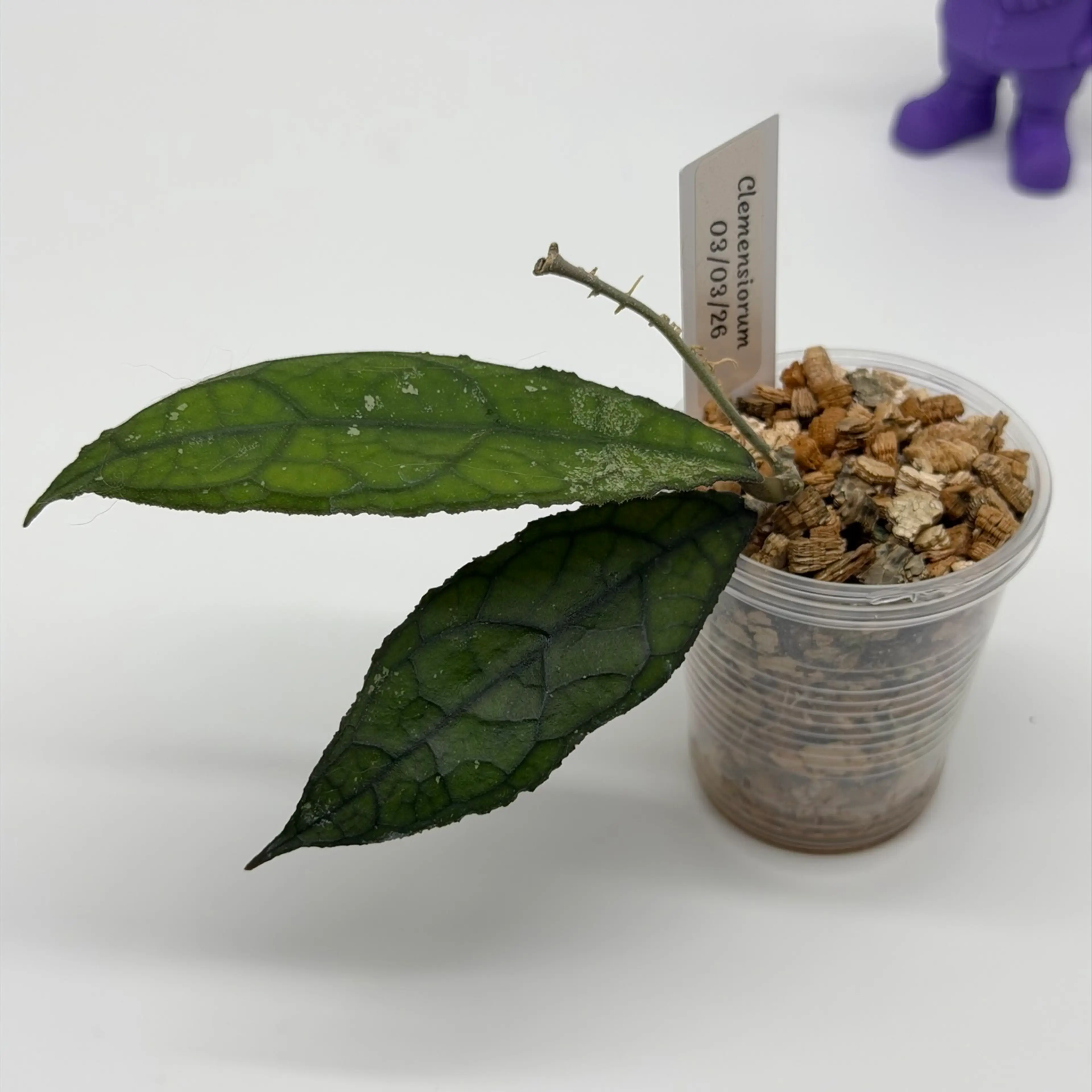 Image 2 of 2