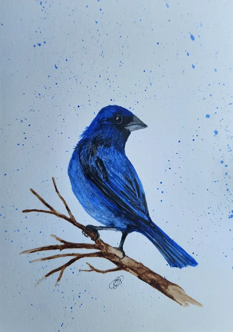 Indigo Bunting Original Watercolor Painting Signed By The Artist 5x7 Free Shipping