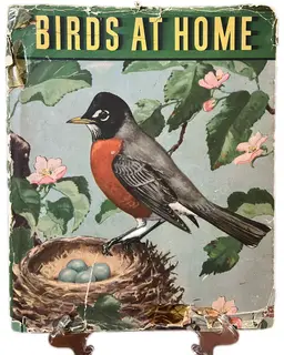 1942 Oversize Bird Book