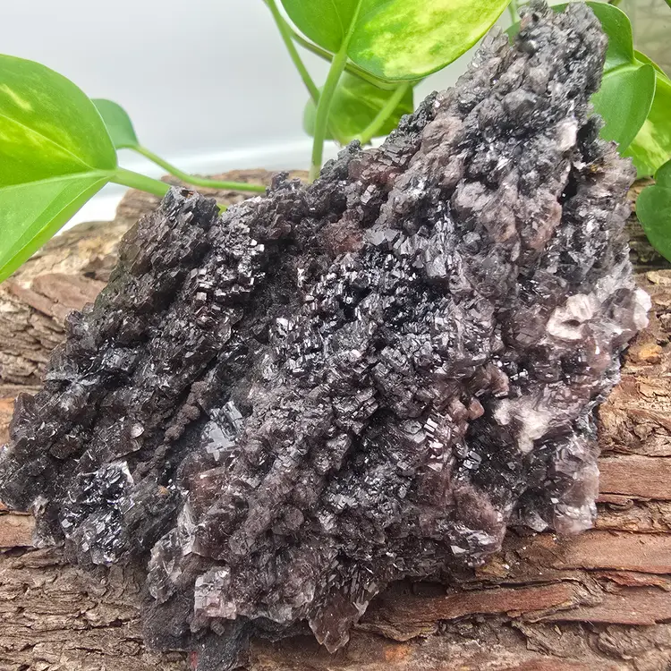 Selenite After Goethite from Mexico ~ Crystal Specimens