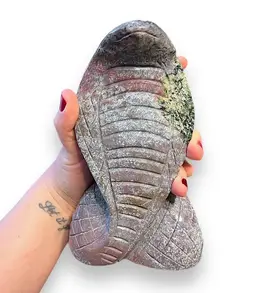 Ocean Jasper Display Cobra Snake