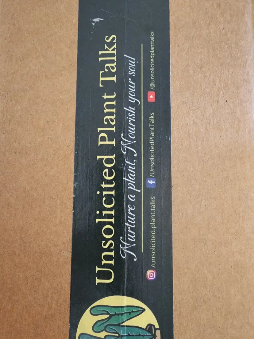 Livestream thumbnail