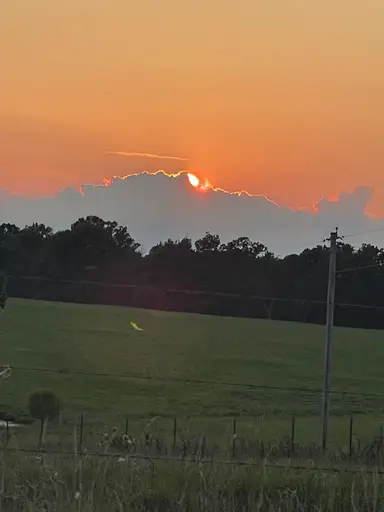 Auction Unboxing - Shop Right Out Of My Car!