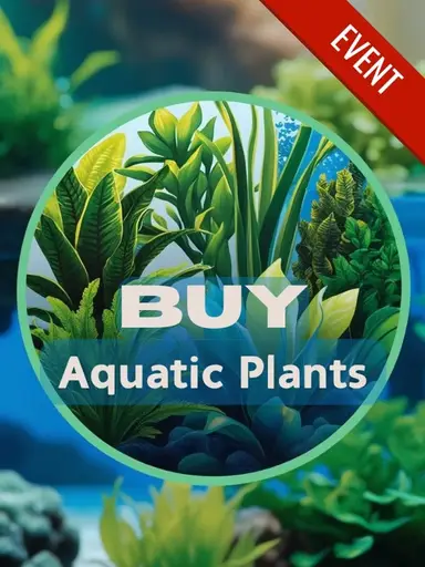Educational Trail - Aquatic Plants