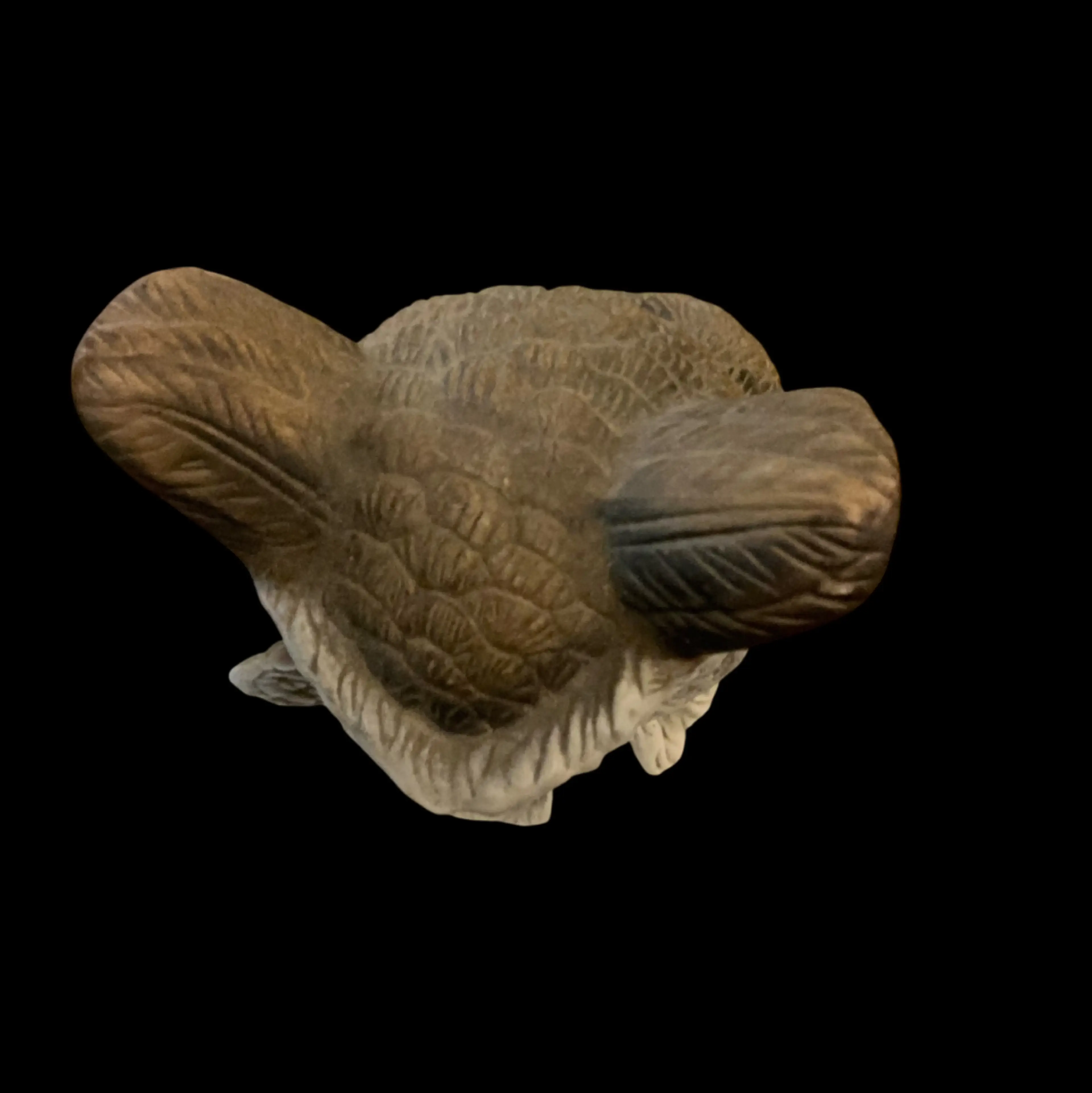 Image 5 of 6