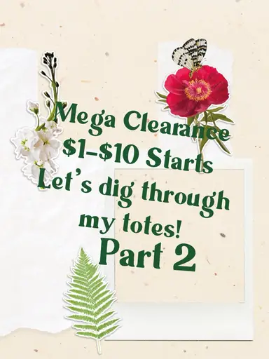 Let’s Go Diggin Part 2 