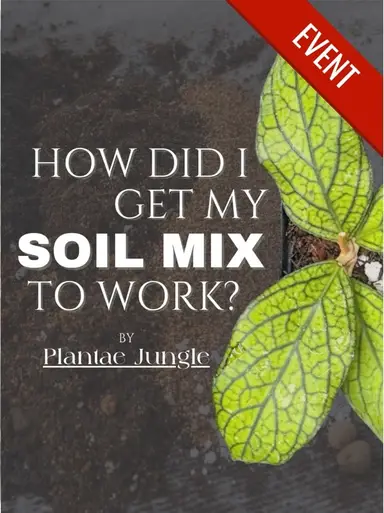 How Did I Get My Soil Mix To Work 