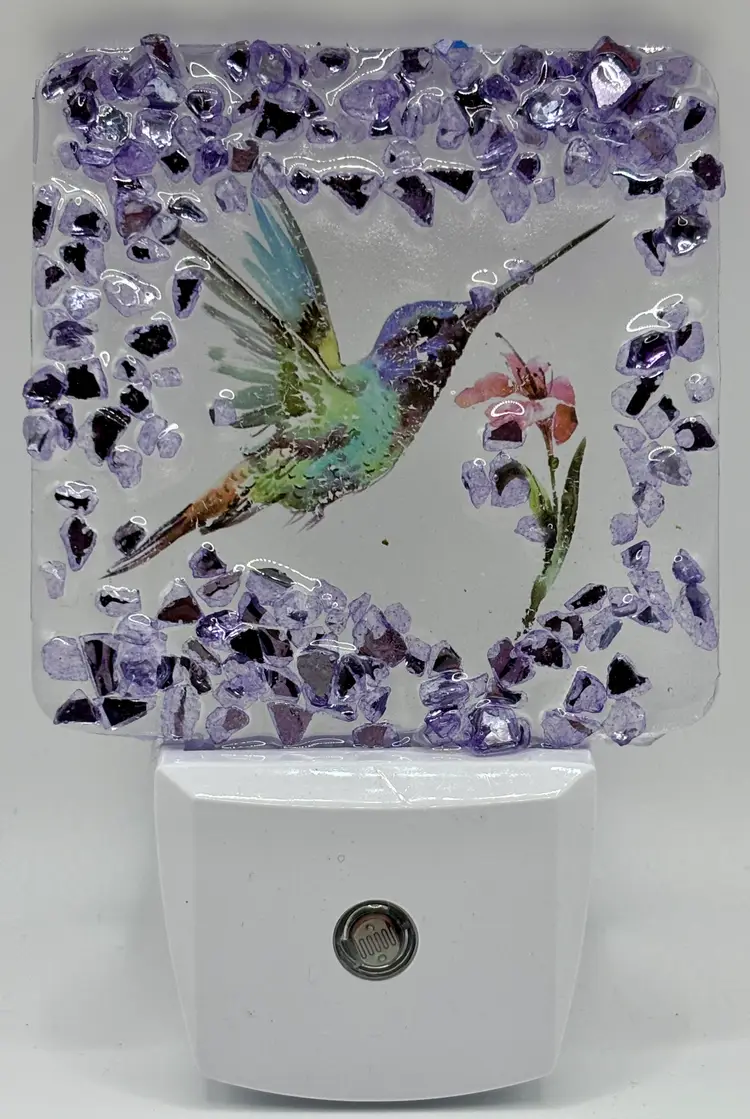 Night Light Humming Bird & Flowers (made by me)